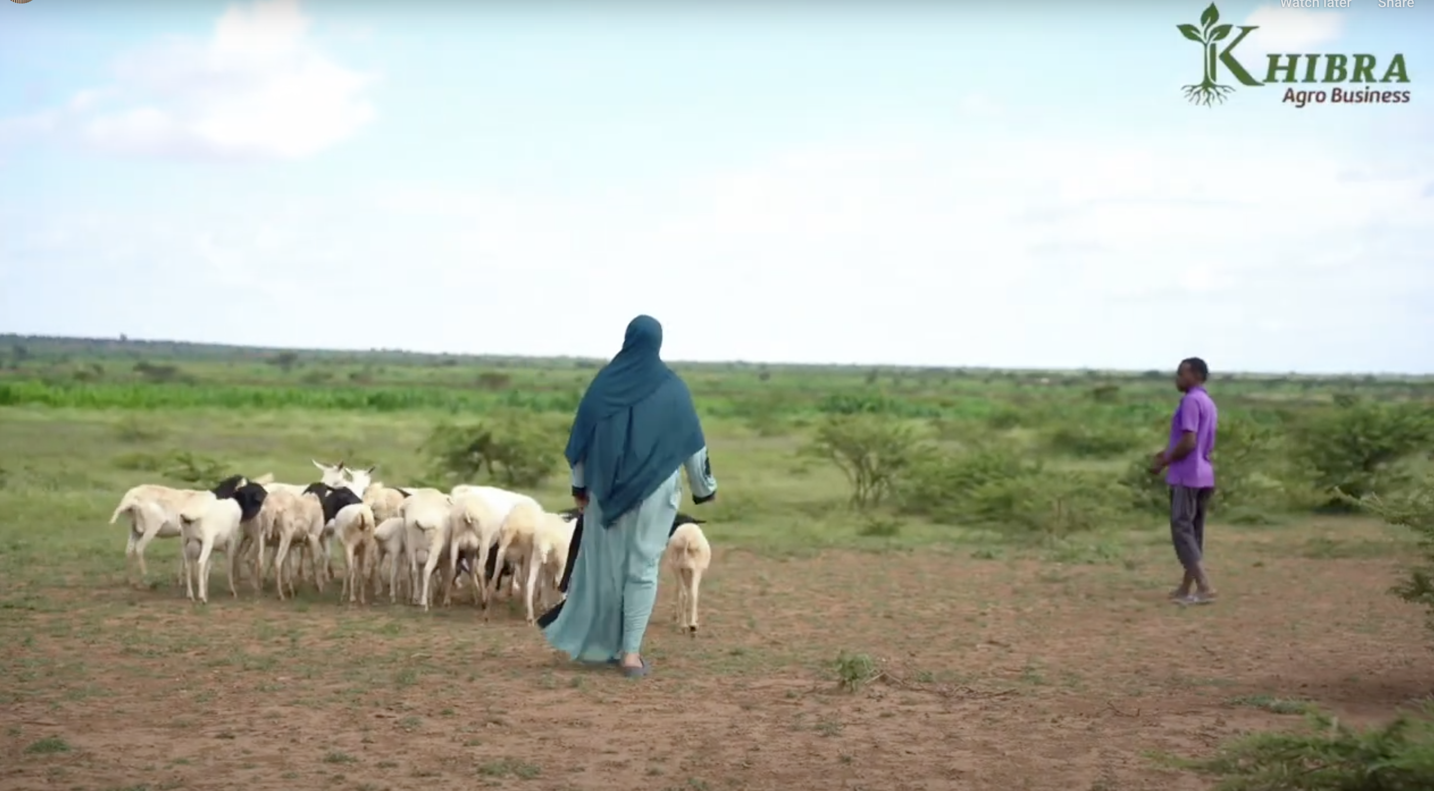 Beekeeping Innovation